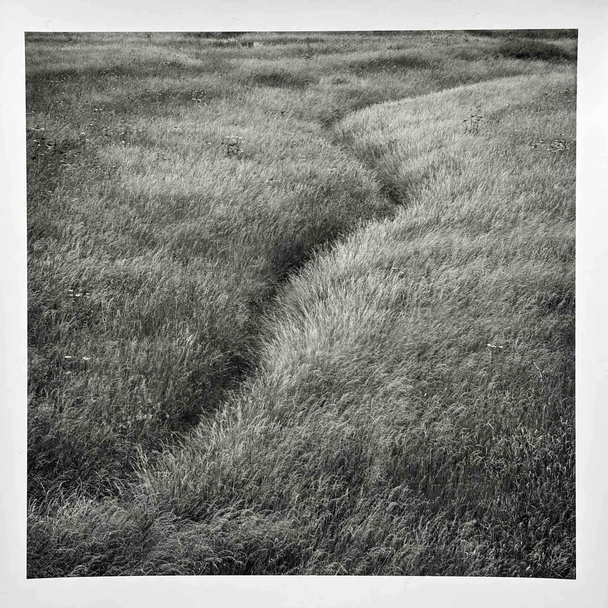 10b paul_hart_july_I_fragile.jpeg