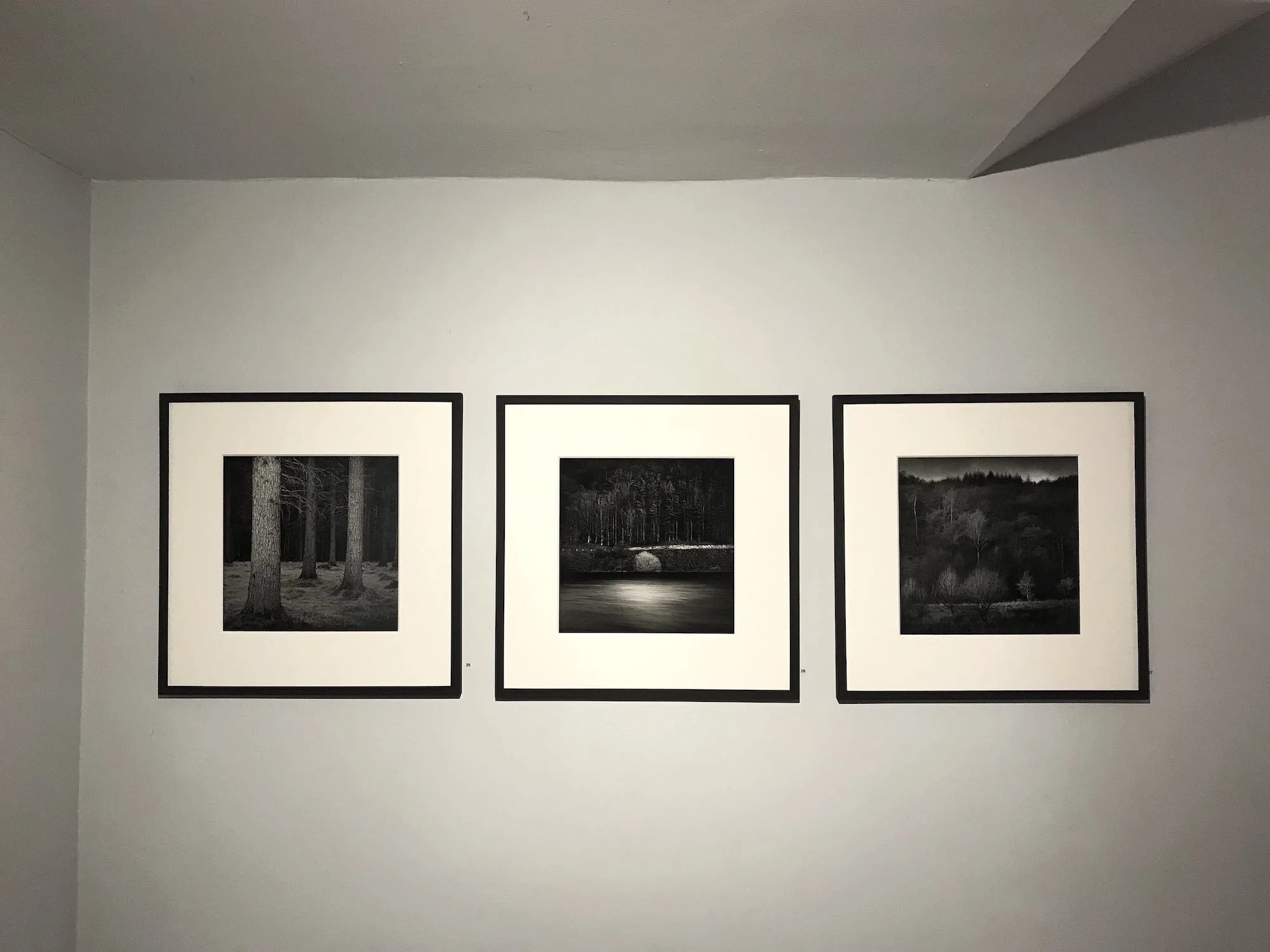 03 paul_hart_truncated_fen_ditton_gallery.jpg (Copy)