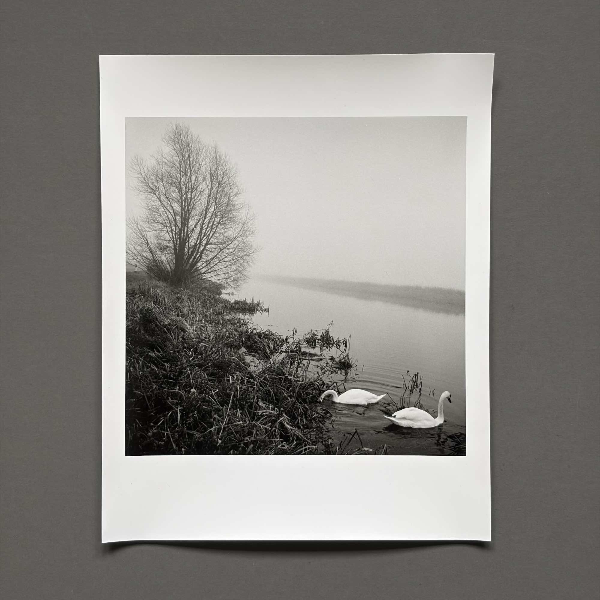 05 paul_hart-december_VI.jpg