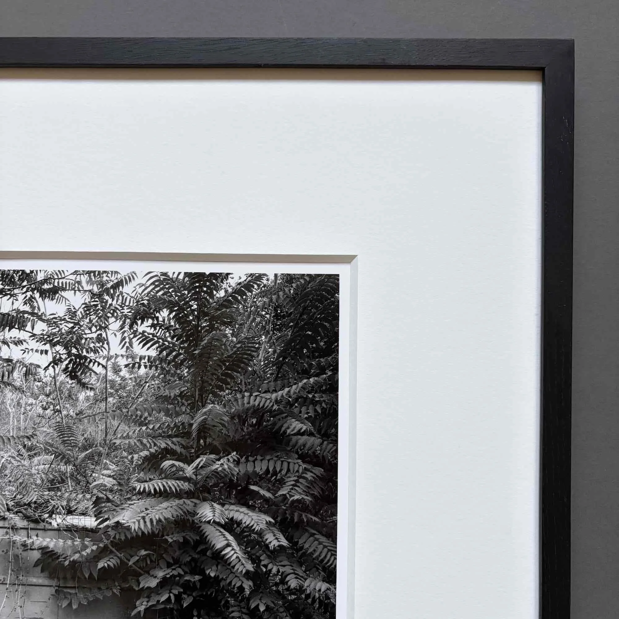 03 paul_hart-vehicle-no-5.jpg