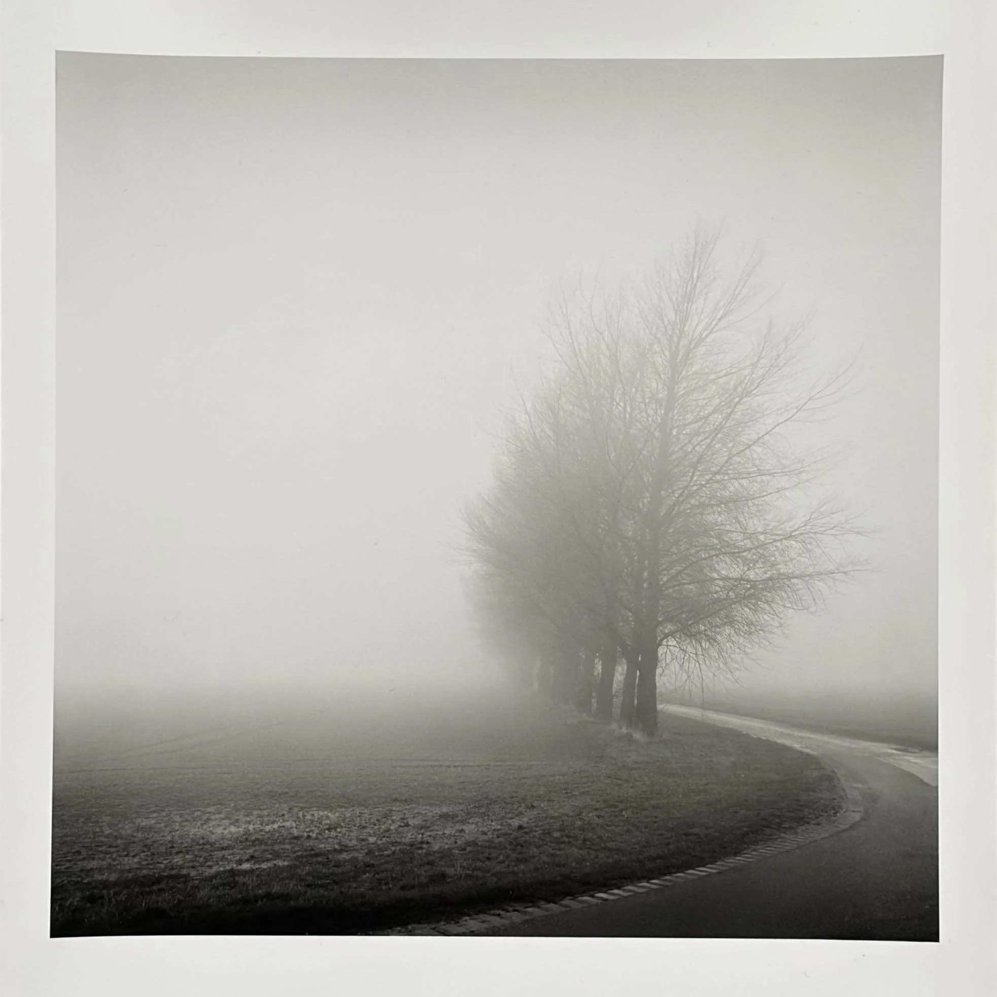 06:b paul_hart_lapwater_lane.jpg