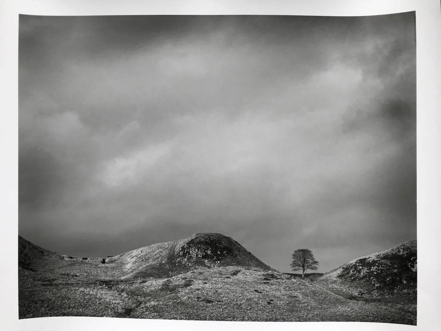 11B : Sycamore Gap.jpeg