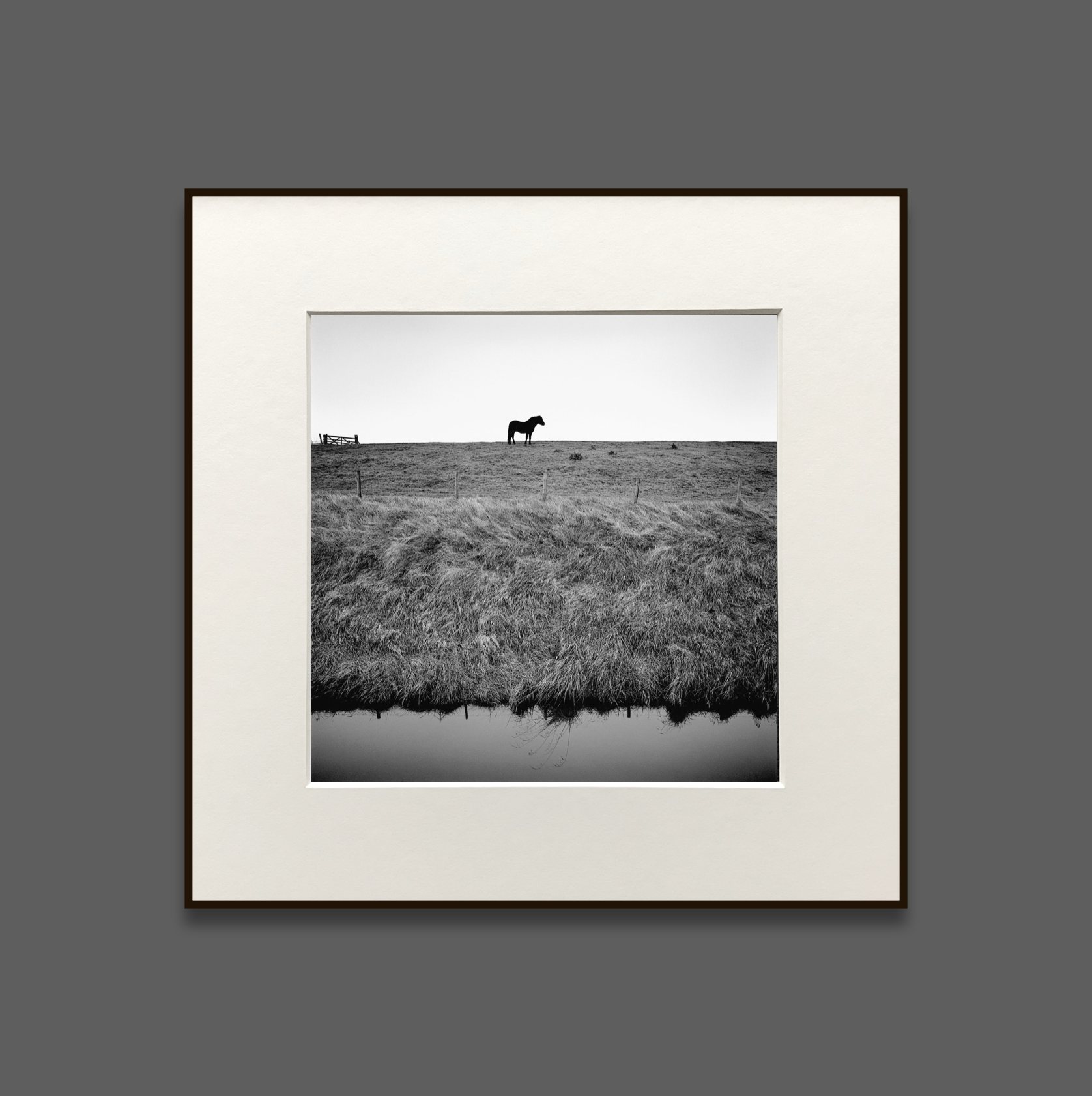 paul_hart-framed_sea_bank.png