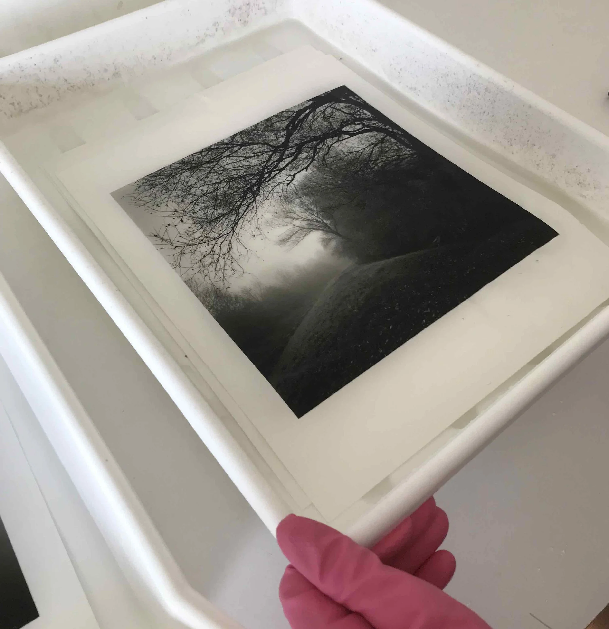 04 paul_hart_november_II.jpg