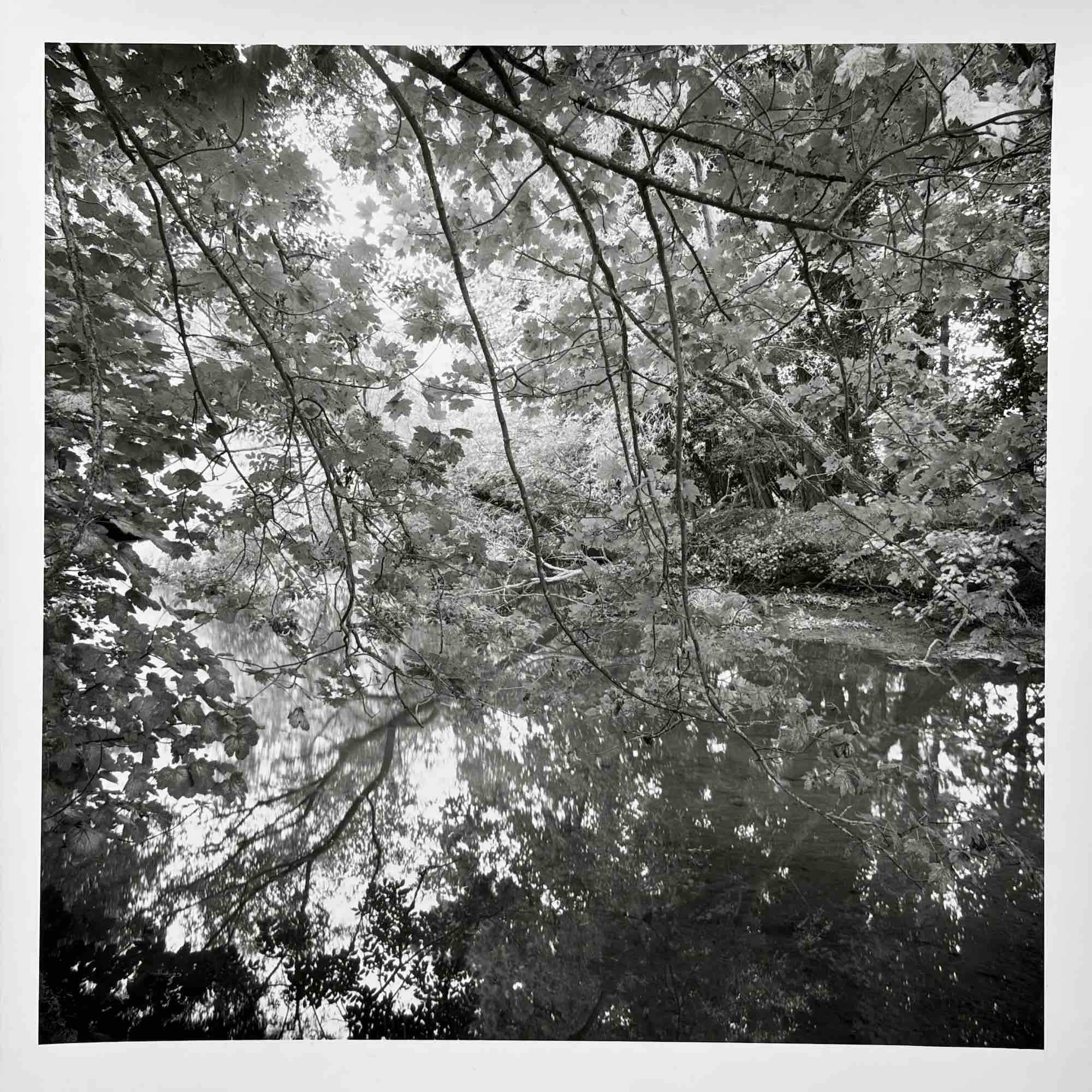 09b paul_hart_september_I_fragile..jpeg