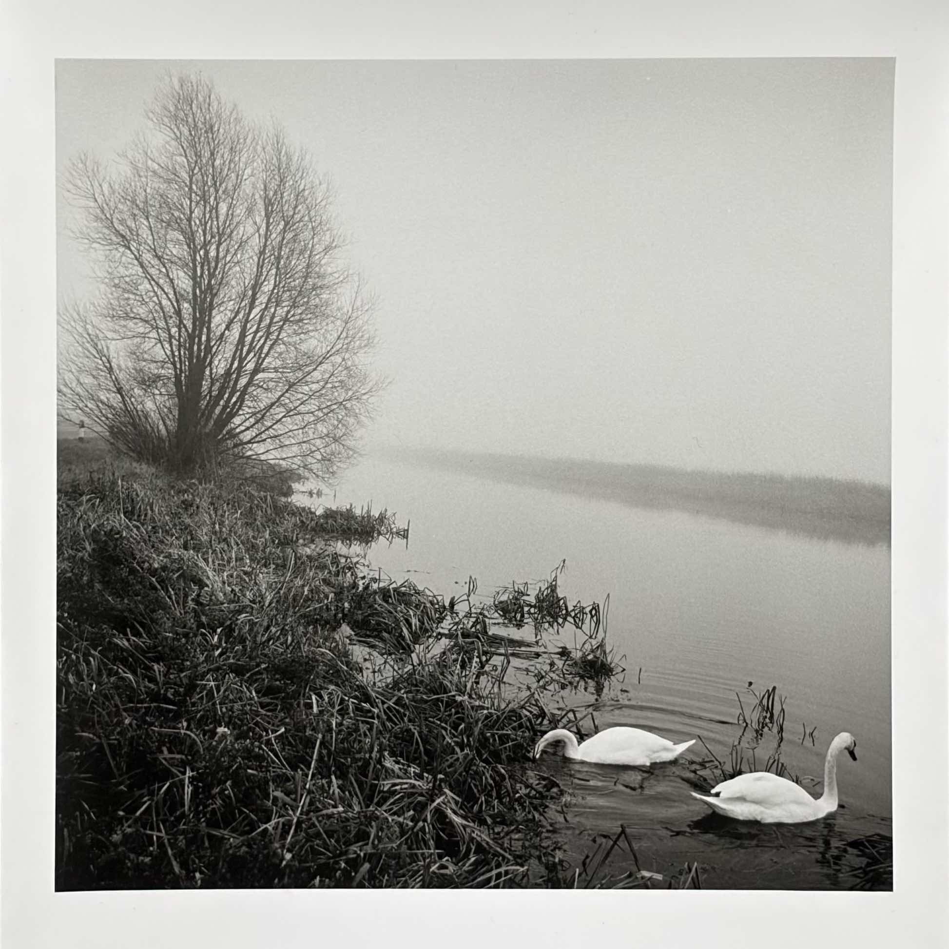 05:b Paul_Hart-december-VI.jpg