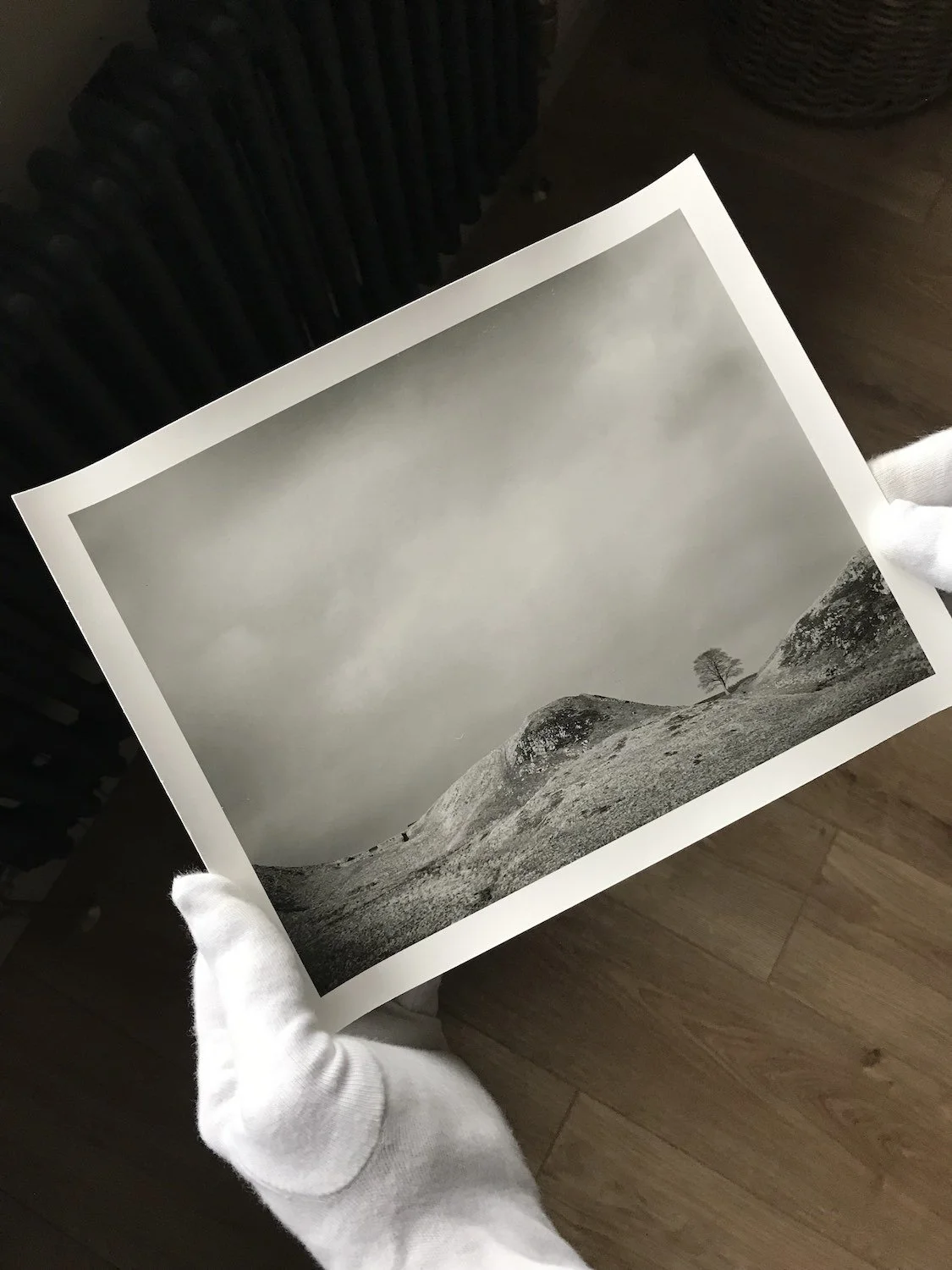 paul_hart_sycamore_gap_silver_gelatin_print.jpg