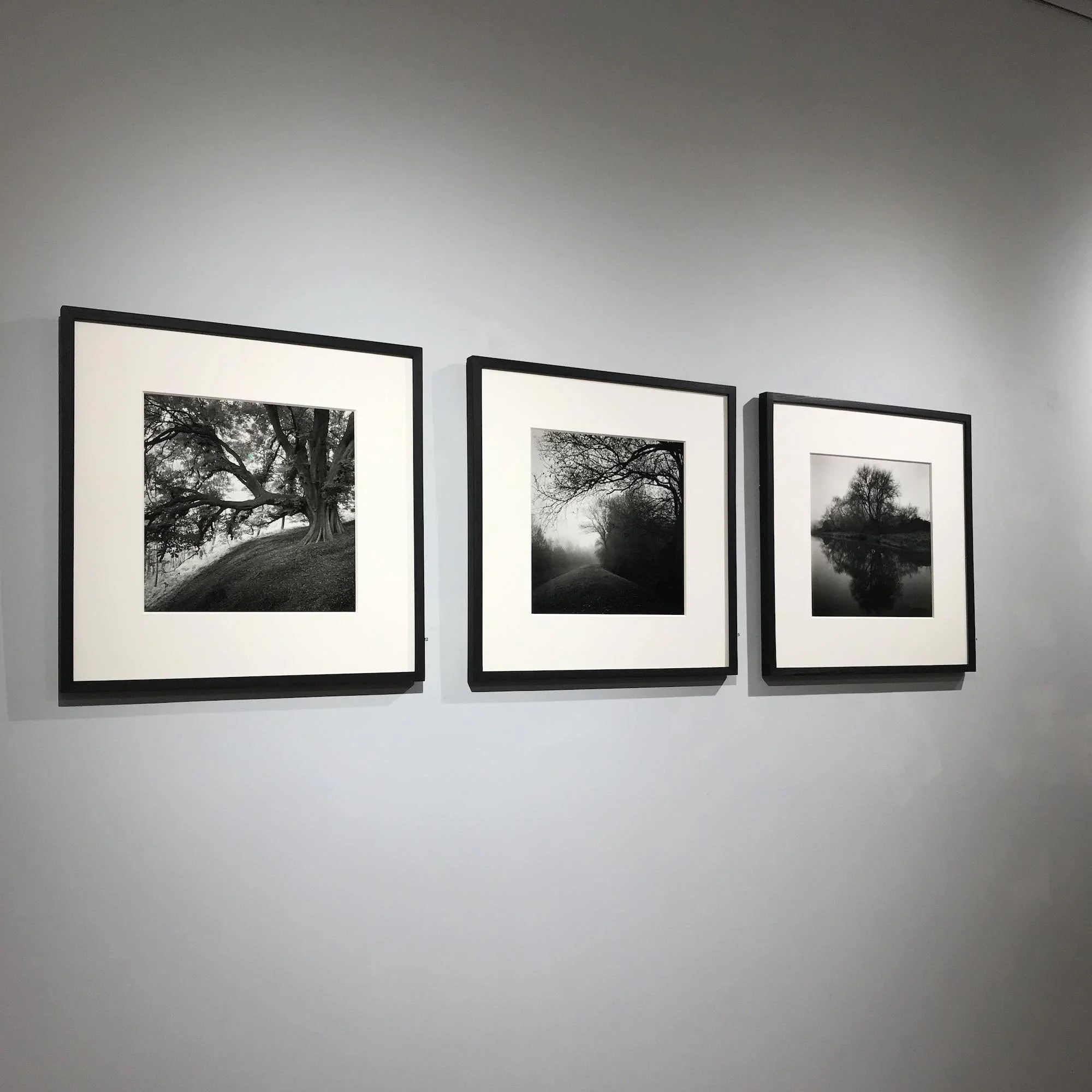 02 paul_hart_fragile_fen_ditton_gallery.jpeg (Copy)