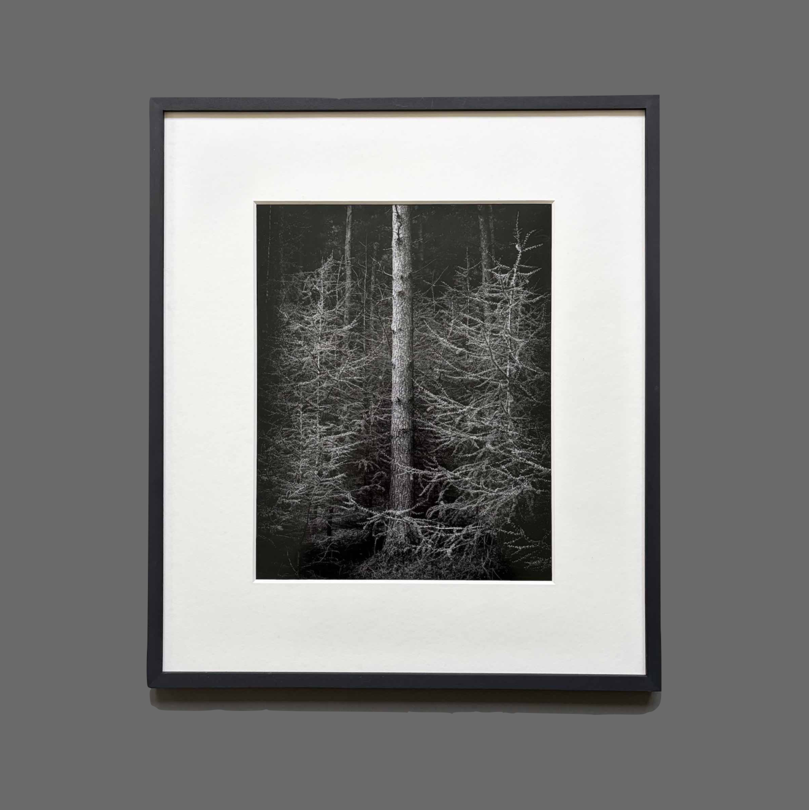 paul_hart_framed_cocoon_10x8 edition.png