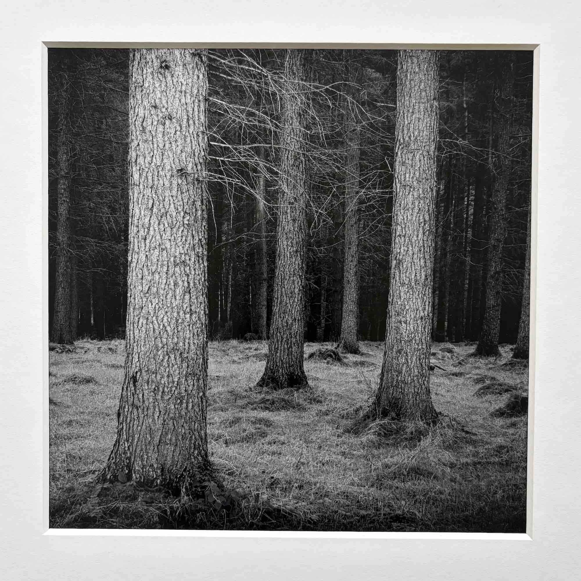 04 paul_hart_arena.jpg