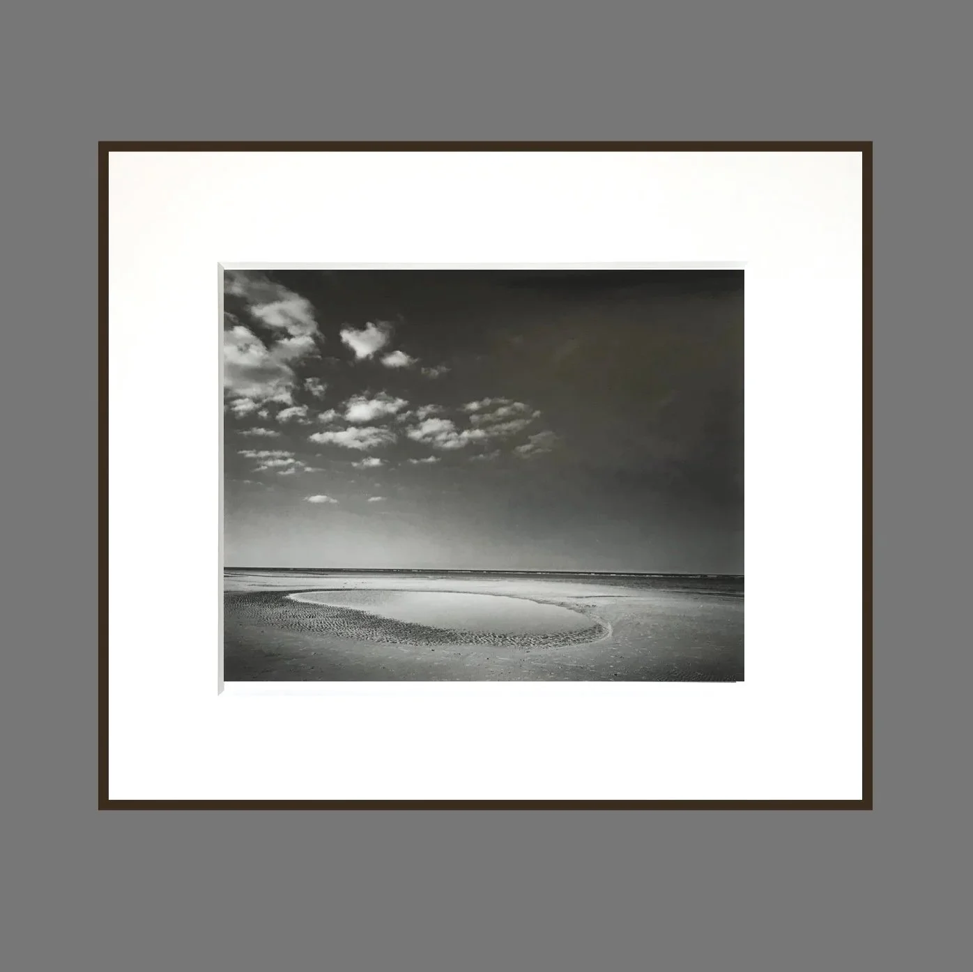 paul_hart_english_beech_II.jpg