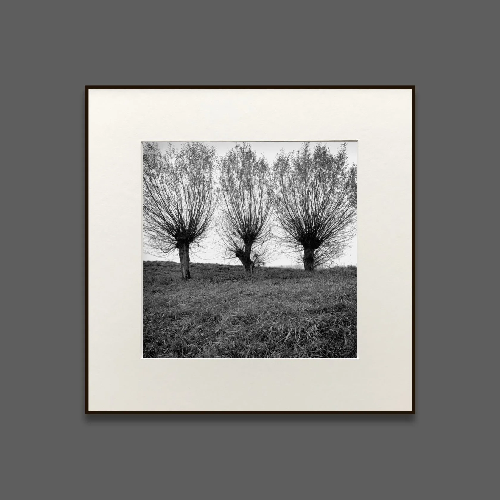 paul_hart-well_creek.jpg