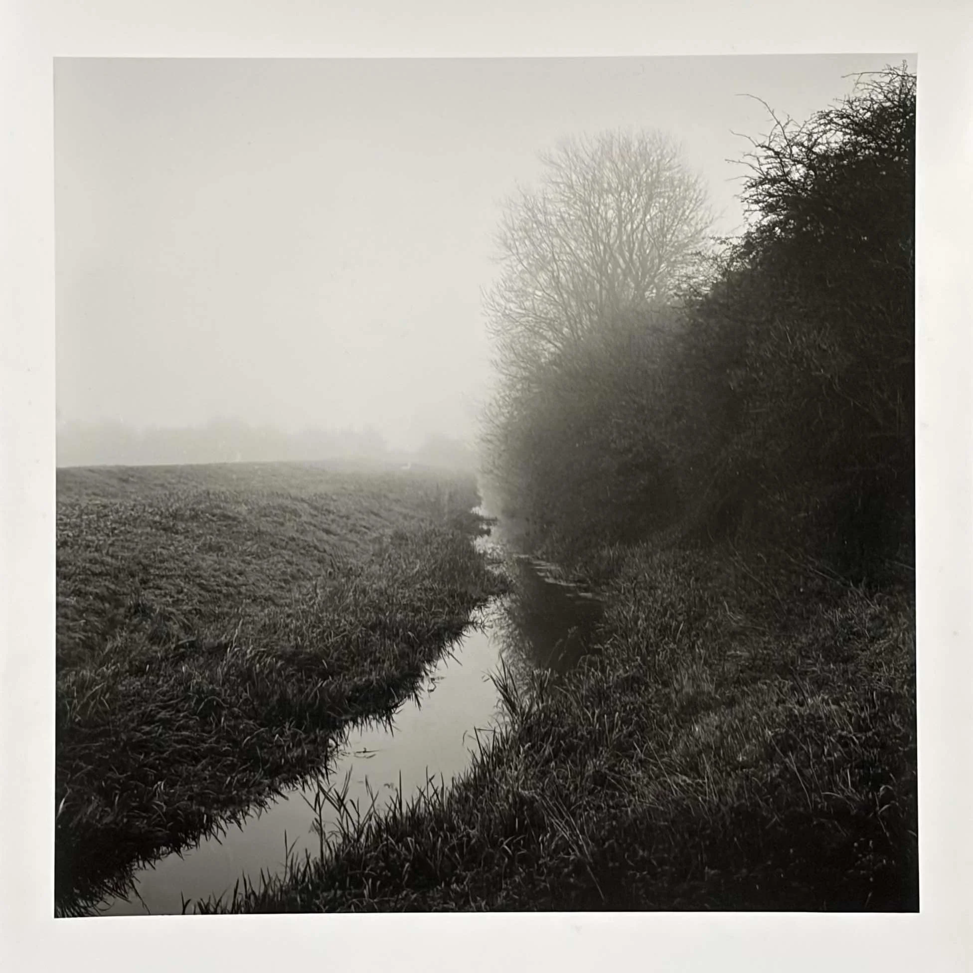 12:b paul_hart_november_I.jpg