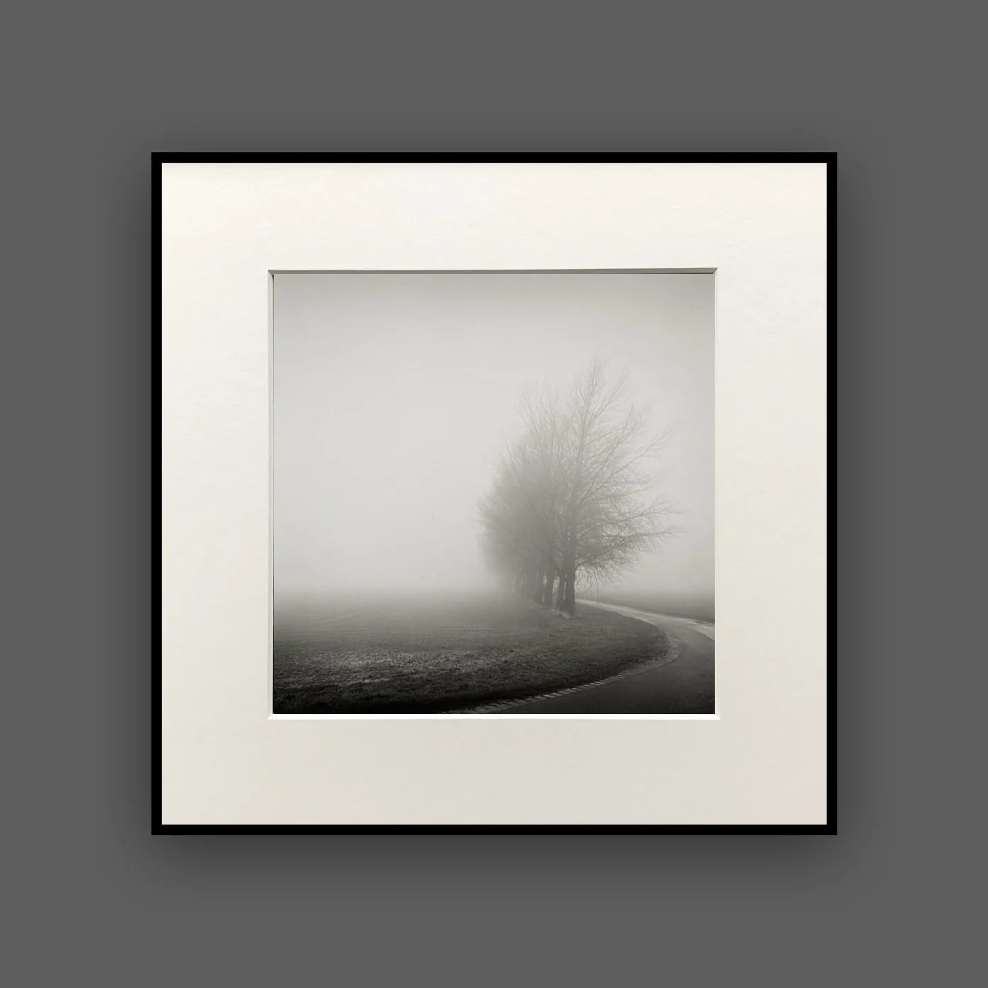 Paul_hart_framed_lapwater_lane.jpg