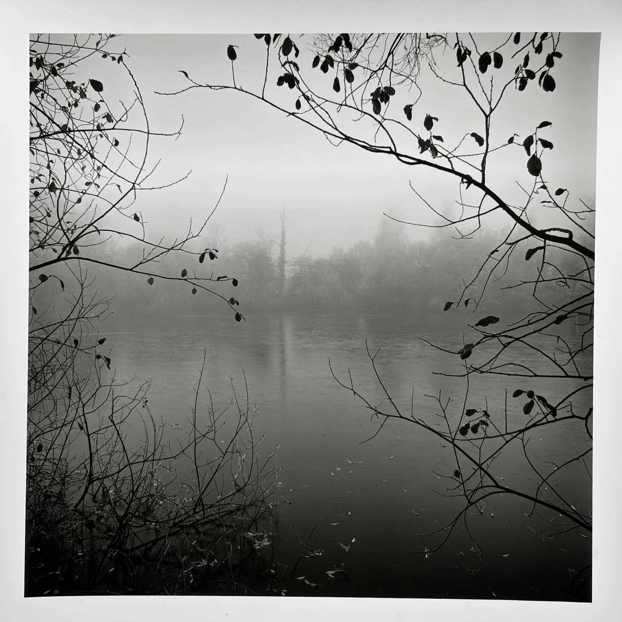 04b paul_hart_december_x_fragile.jpeg