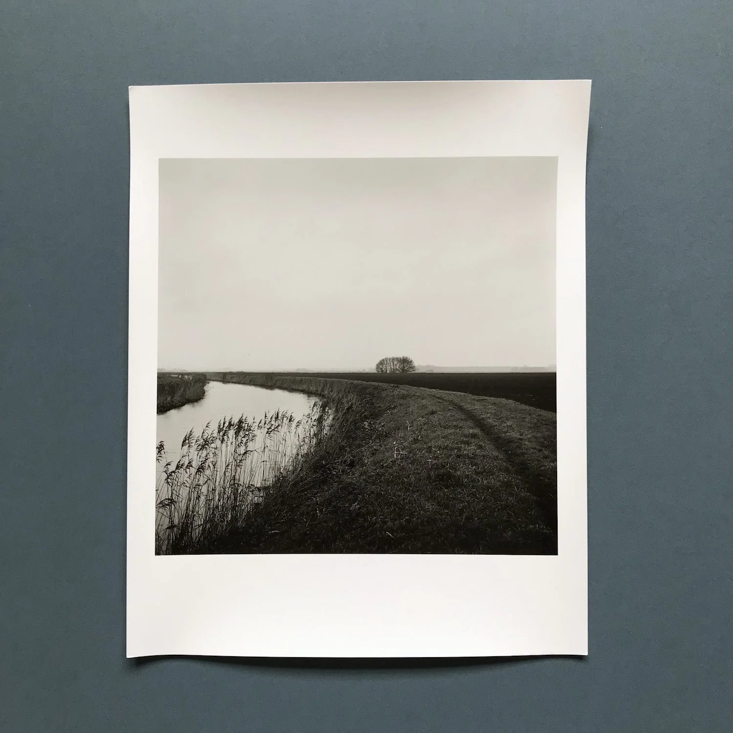 04A : Flatland II.jpeg