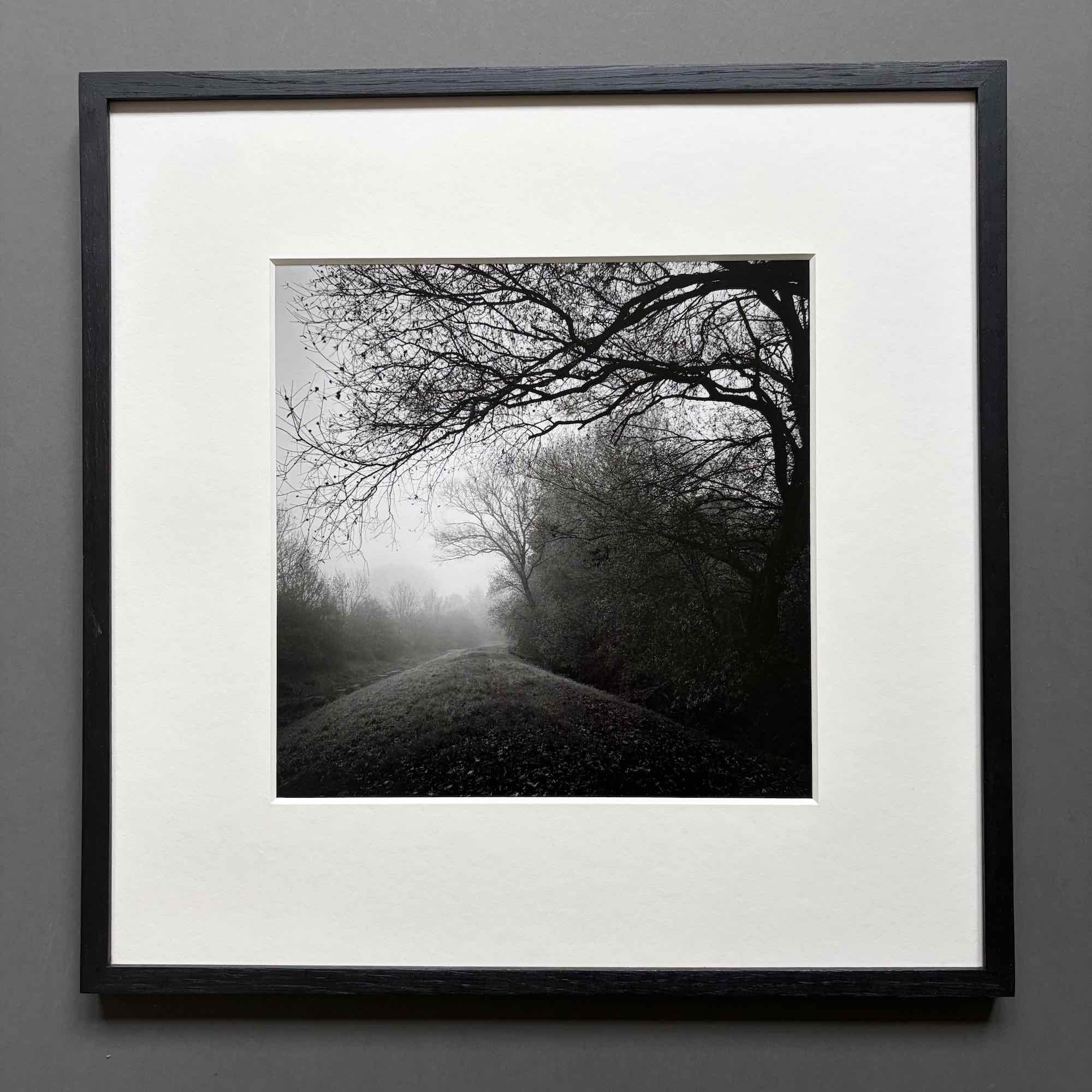 01 paul_hart_november_II.jpg