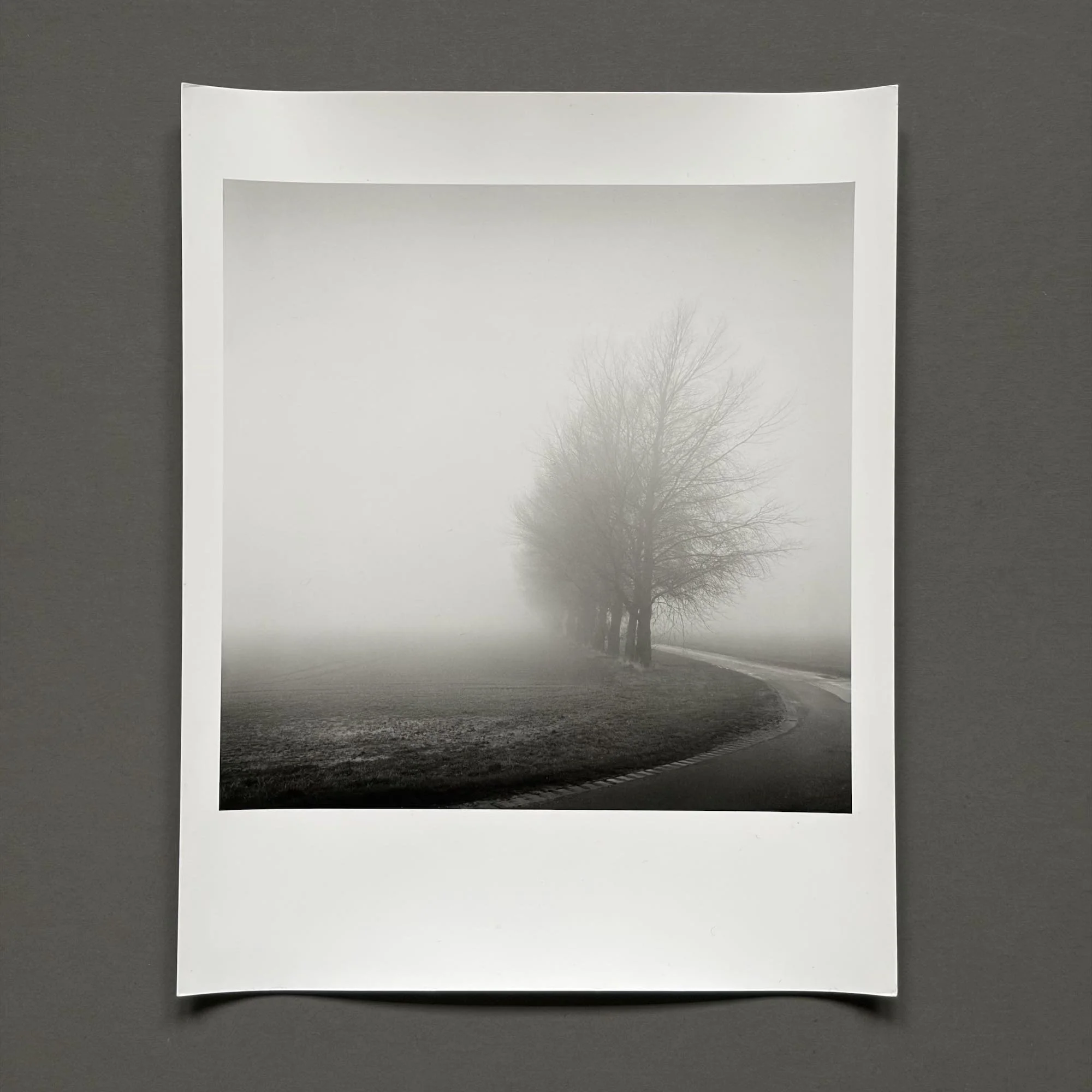 06 paul_hart_lapwater_lane.jpg