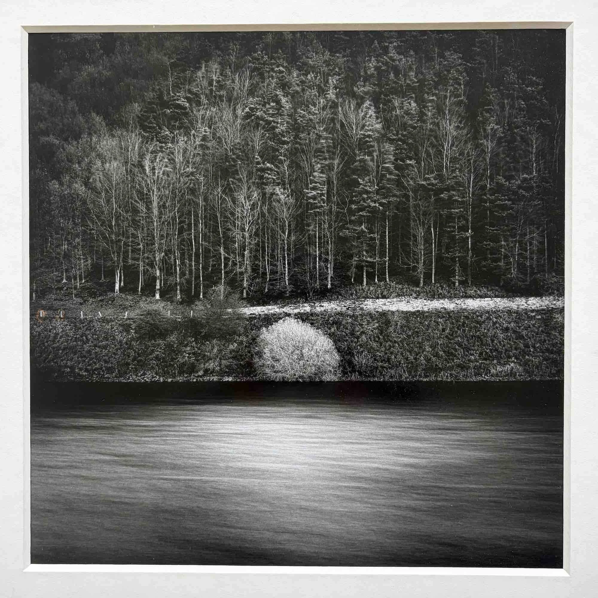 03 paul_hart_sentinel.jpg