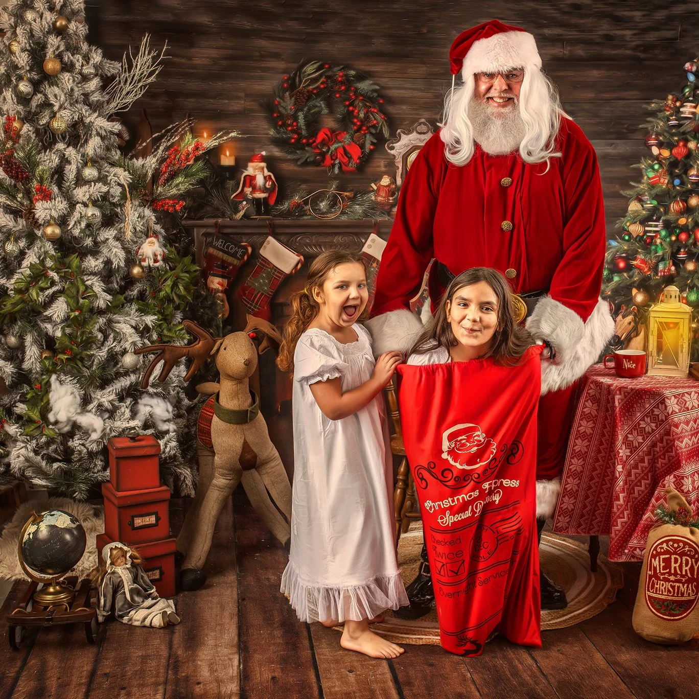 The Santa Storybook Experience