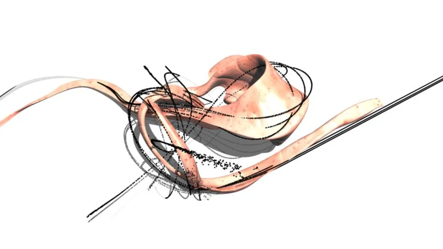 The shape of the bar evolves around the virtual force fields which represent the spatial program