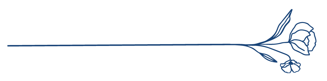 GD_SM_Horizontal Line Navy.png