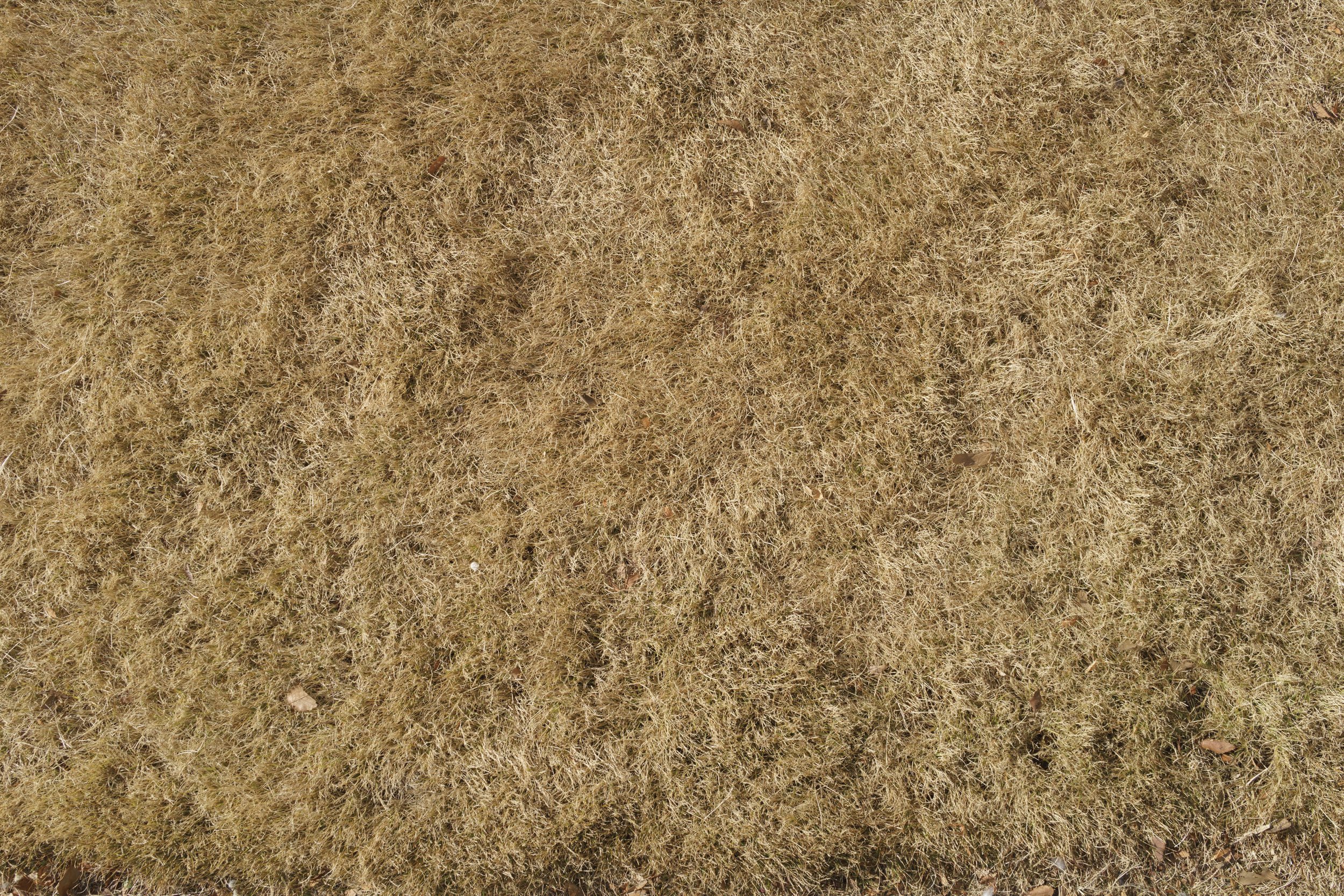 003_140113-101447-0866.JPG