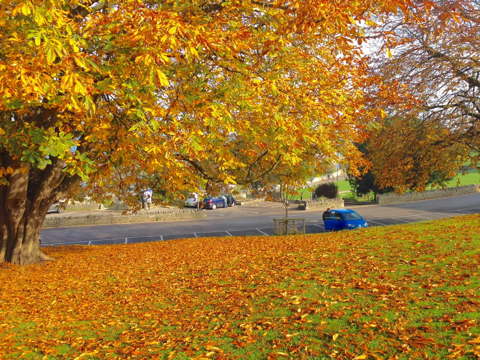 Autumn leaves back home in Swanage.
