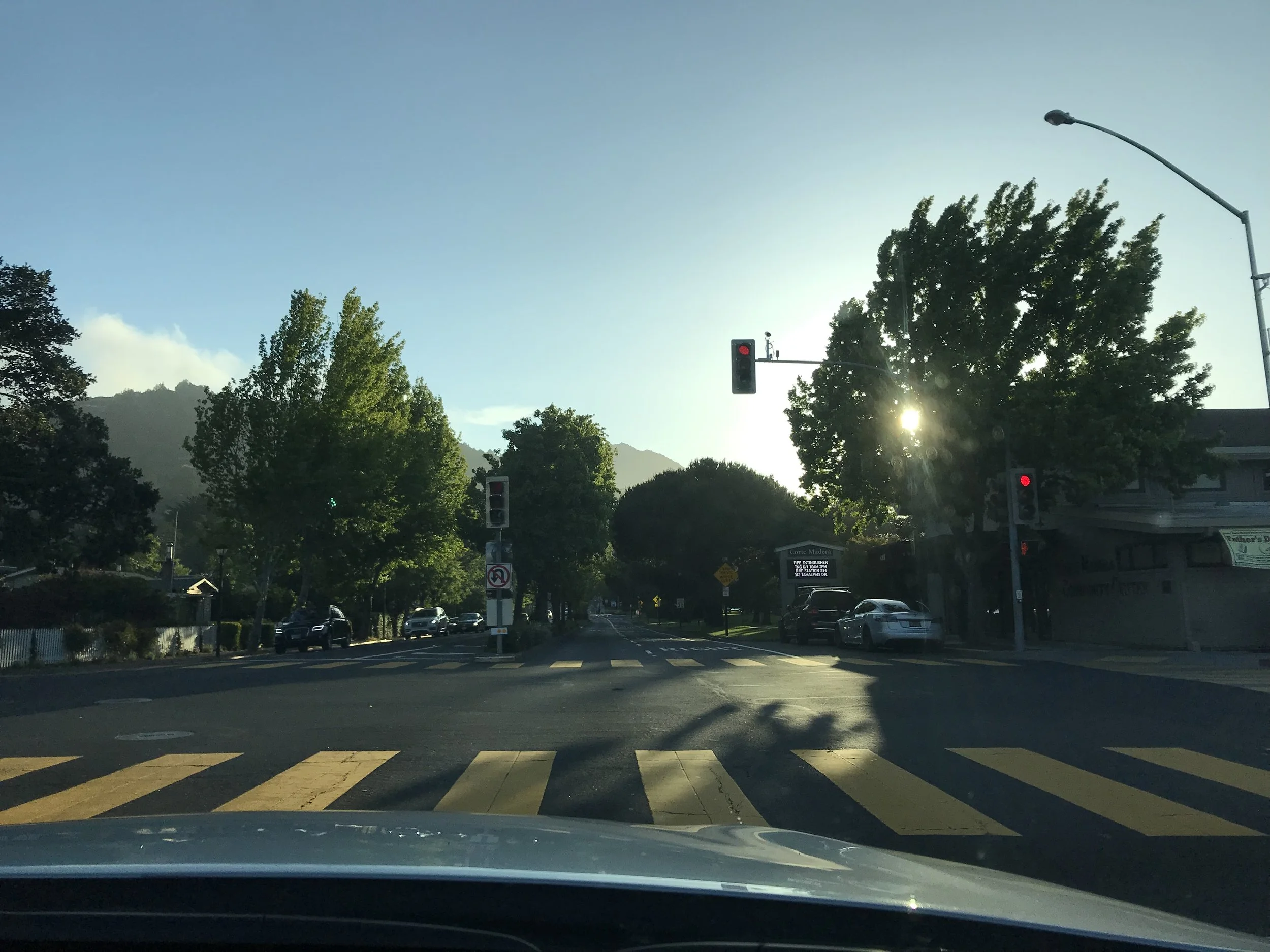 IMG_0571.jpeg
