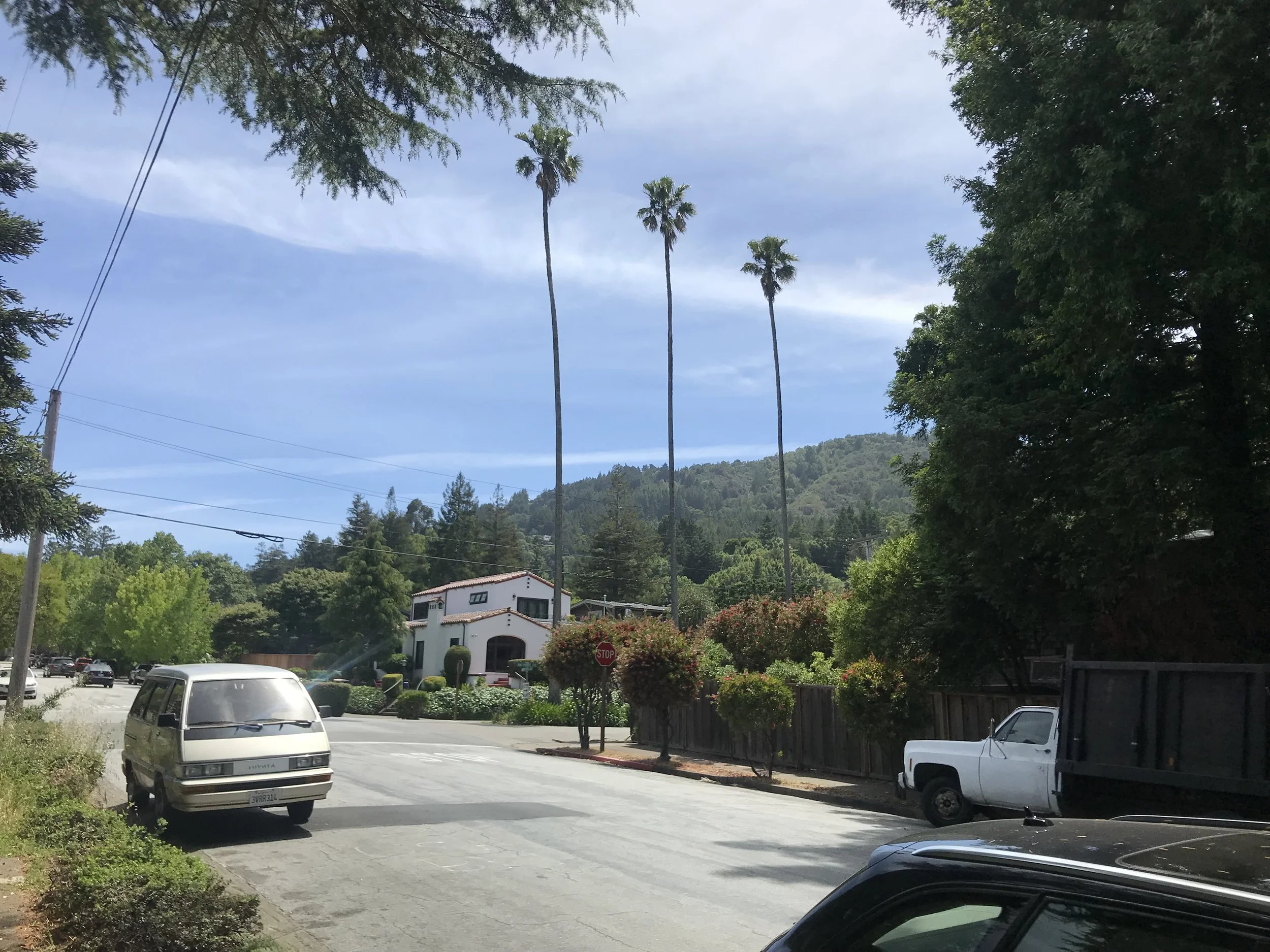 IMG_0603.jpeg