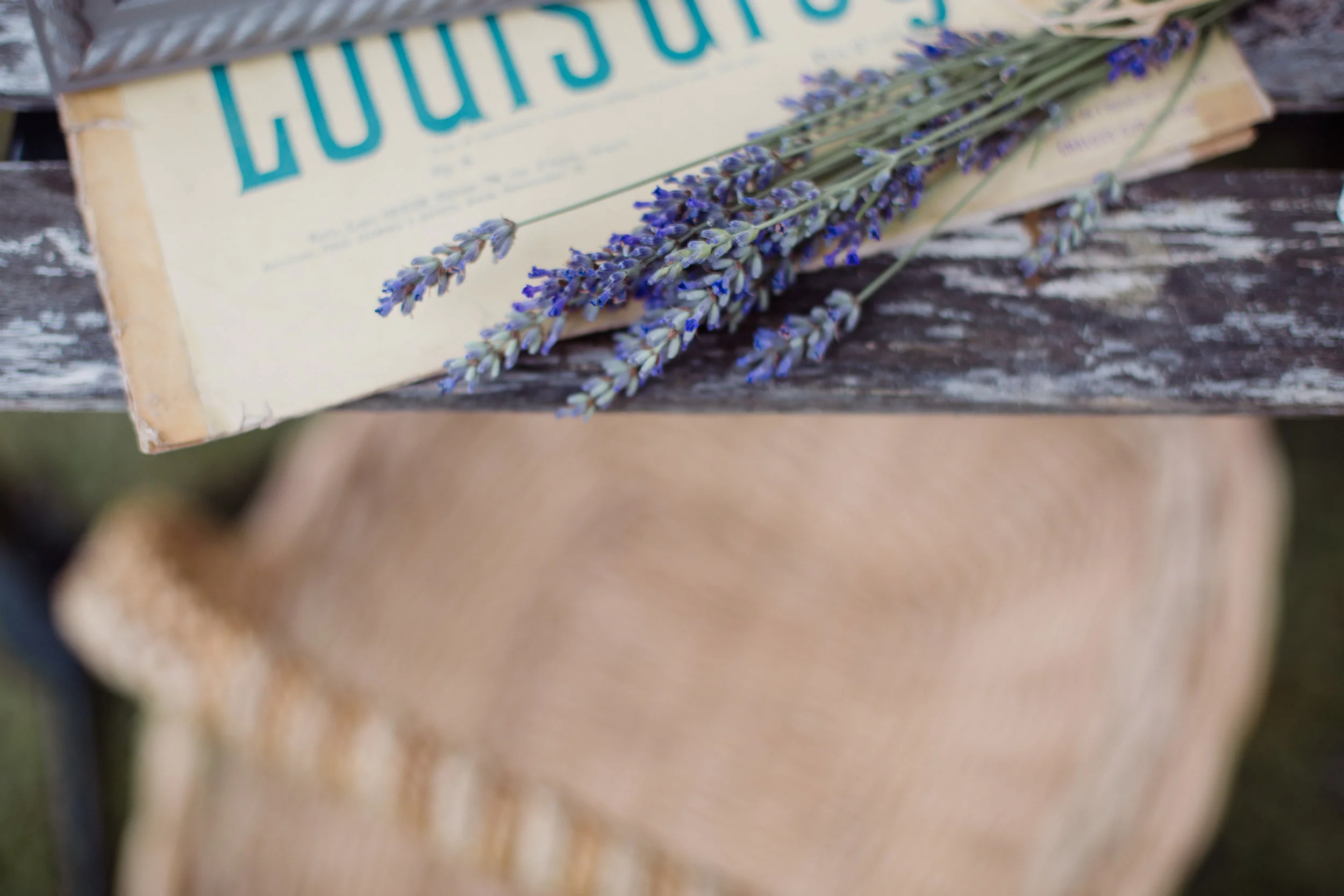 Mariage Domaine de la Roseraie Brantome Dordogne Photographe Bordeaux Pauline Maroussia P.