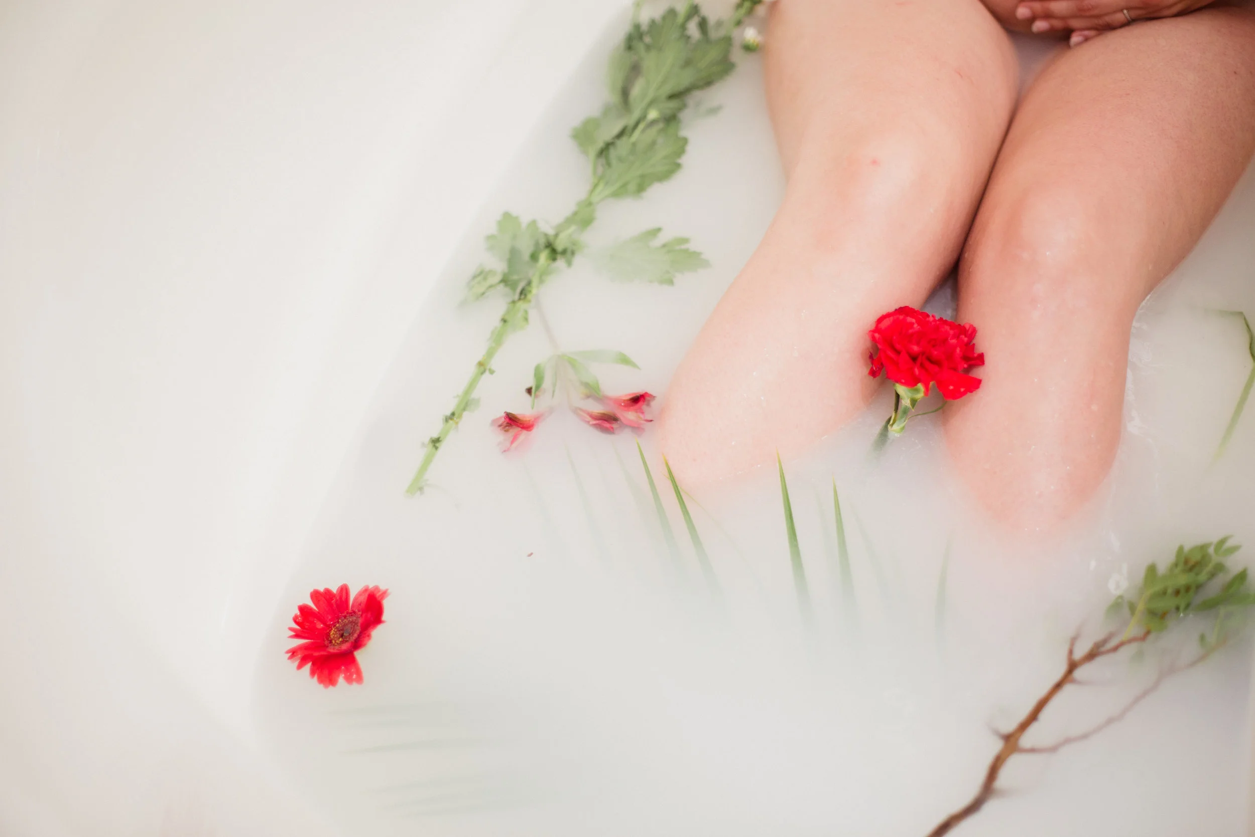 Une séance grossesse dans un bain de lait 