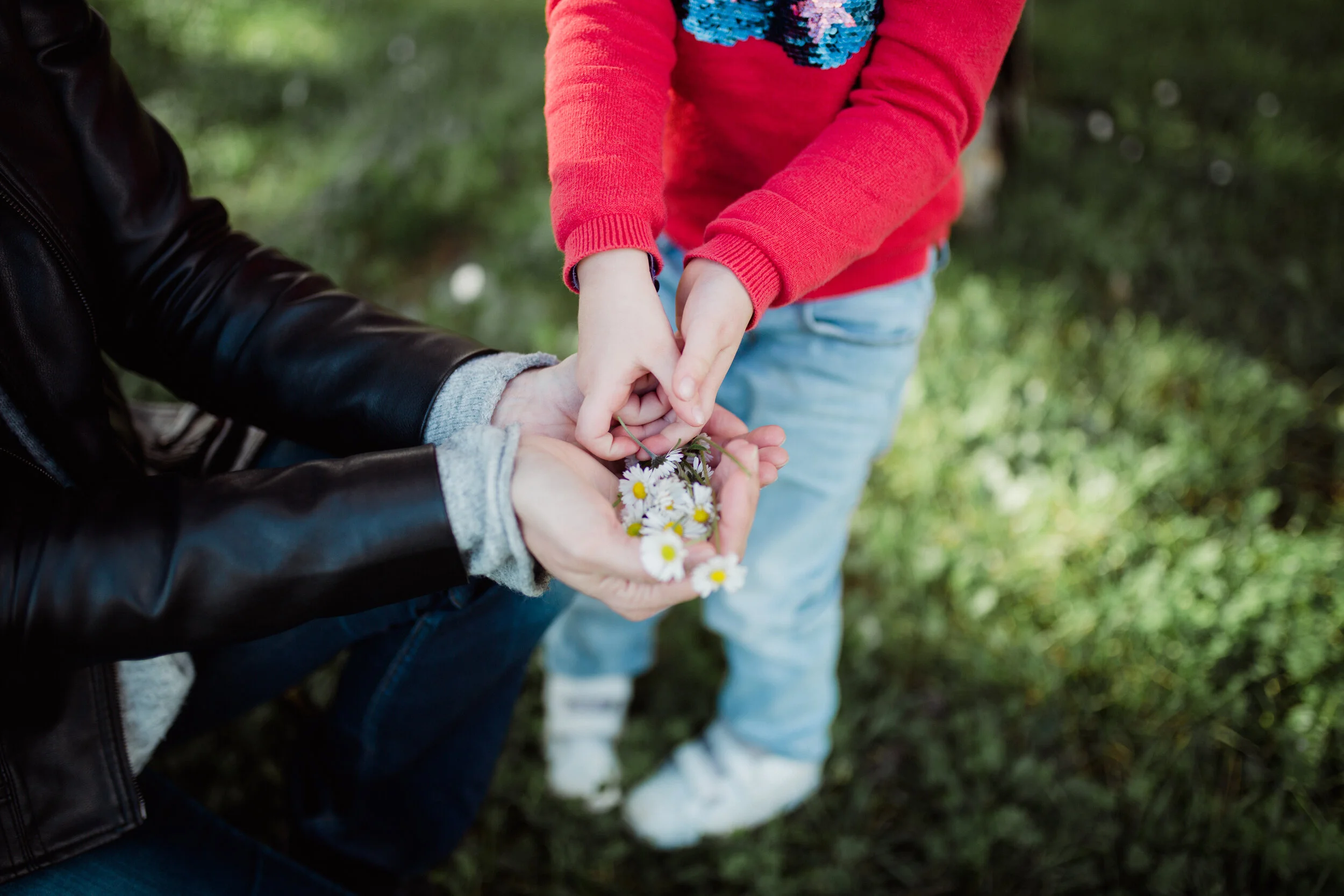 - Family First - Une séance famille dans le Sud Gironde à Podensac