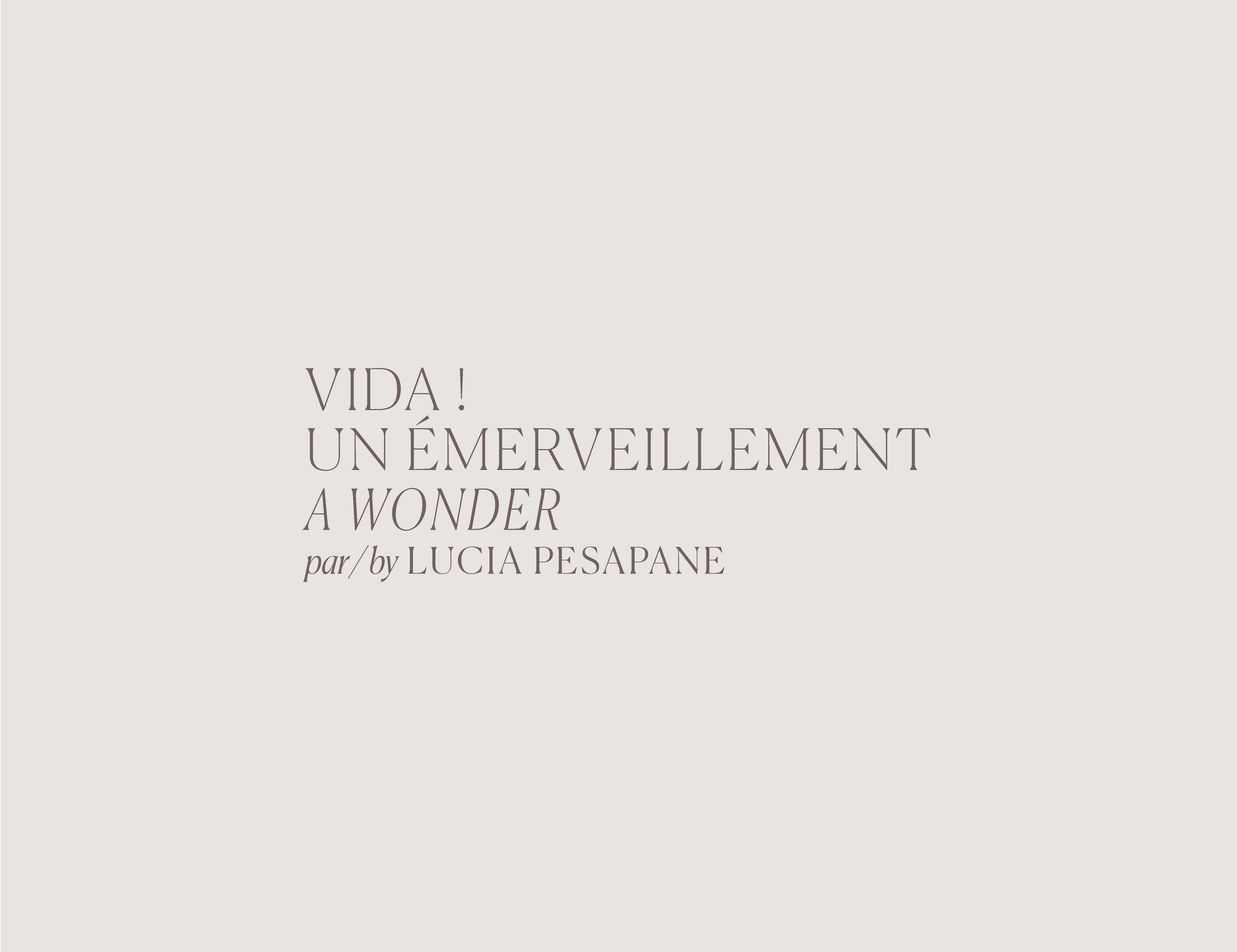 livro VIDA - ECRITS - 2020 - lucia pesapane_Page_02.jpg