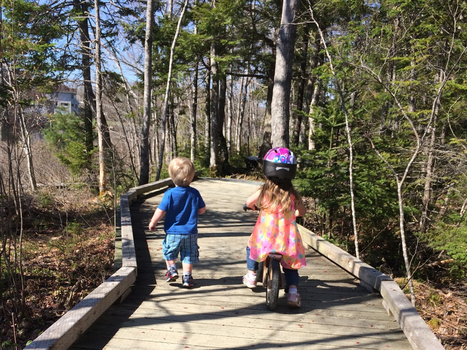 My little Haligonians enjoying the First Lake Trails