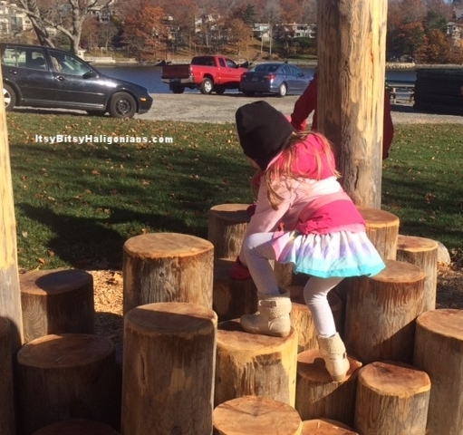 Stump steps to encourage climbing and balance.