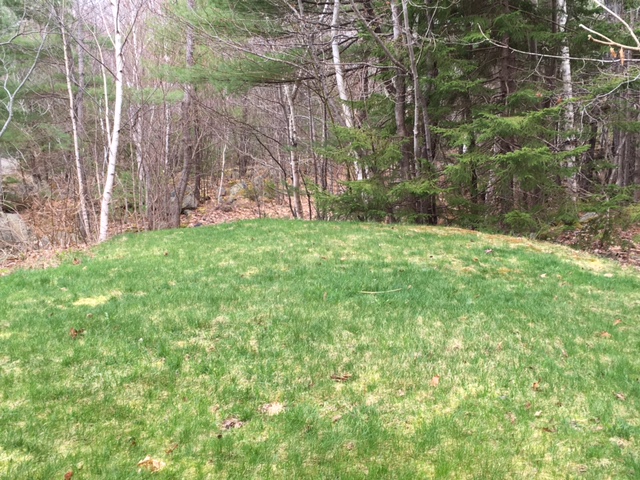 Small, lumpy backyard that won't fit most prefab playground structures