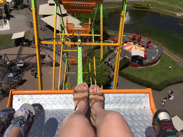 Getting the birds eye view of the park on the Ferris Wheel!