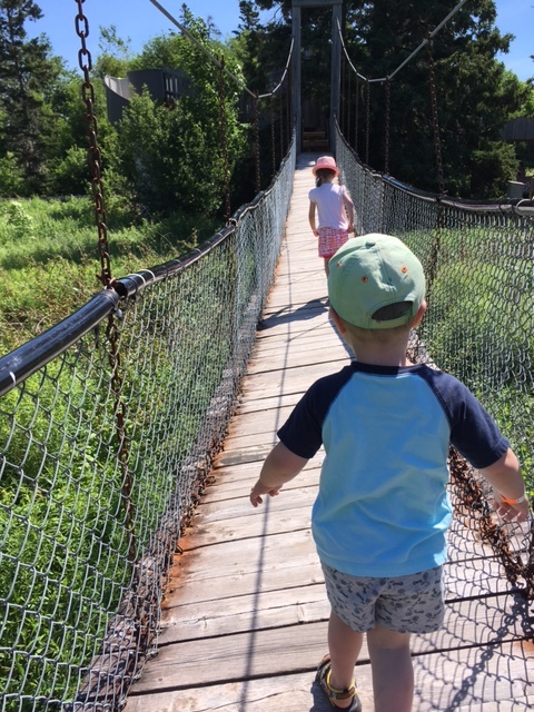 Crossing the Swinging Link