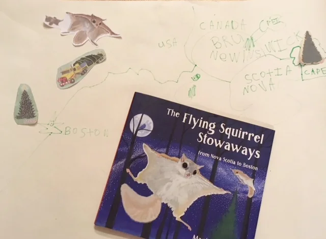 Flying Squirrel Stowaways Map Art.jpg