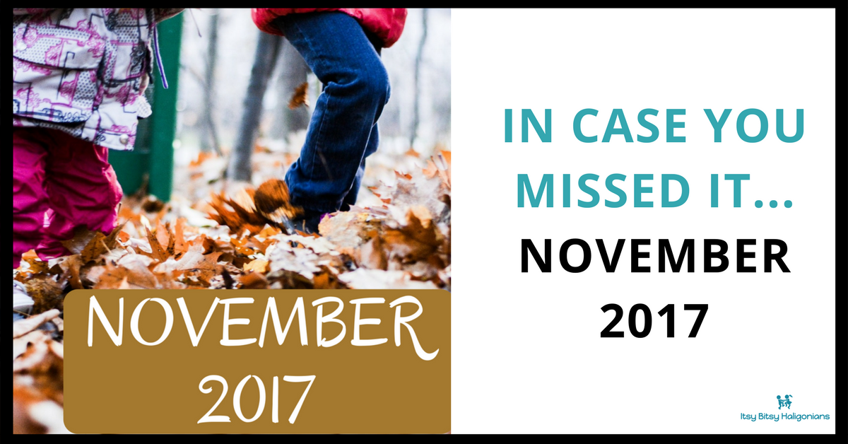 In Case You Missed It...November 2017 in Review (1).png