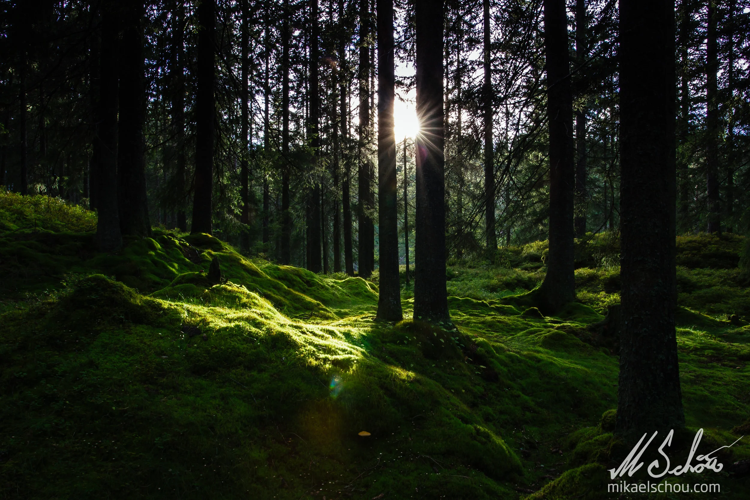 500px-29.jpg