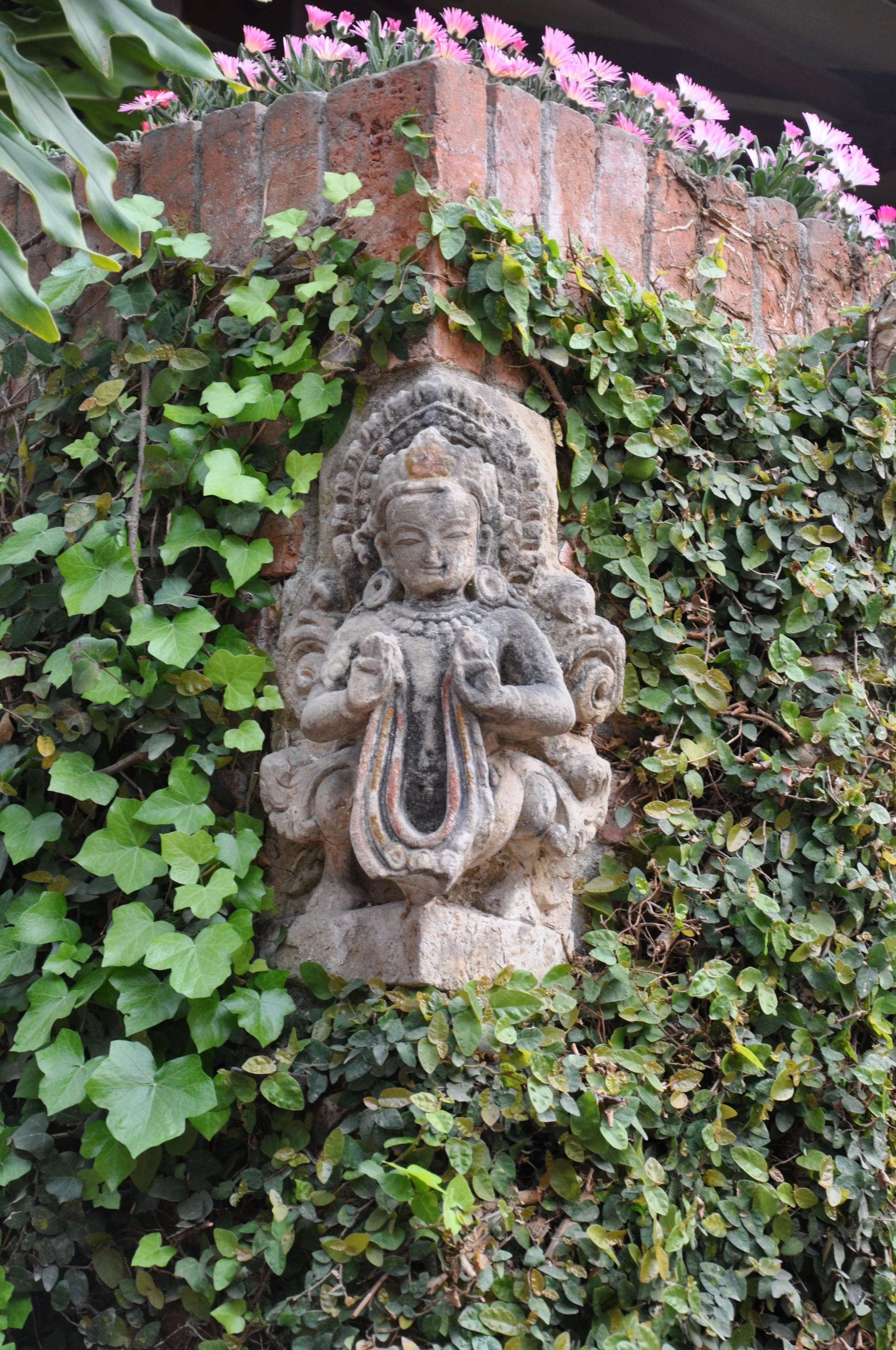 DSC_0339.jpg