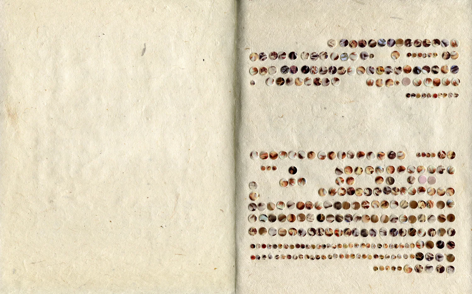 page013.jpg