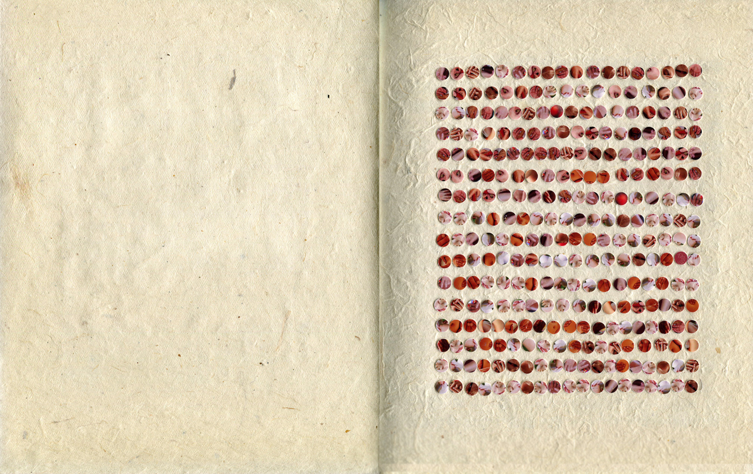 page020.jpg