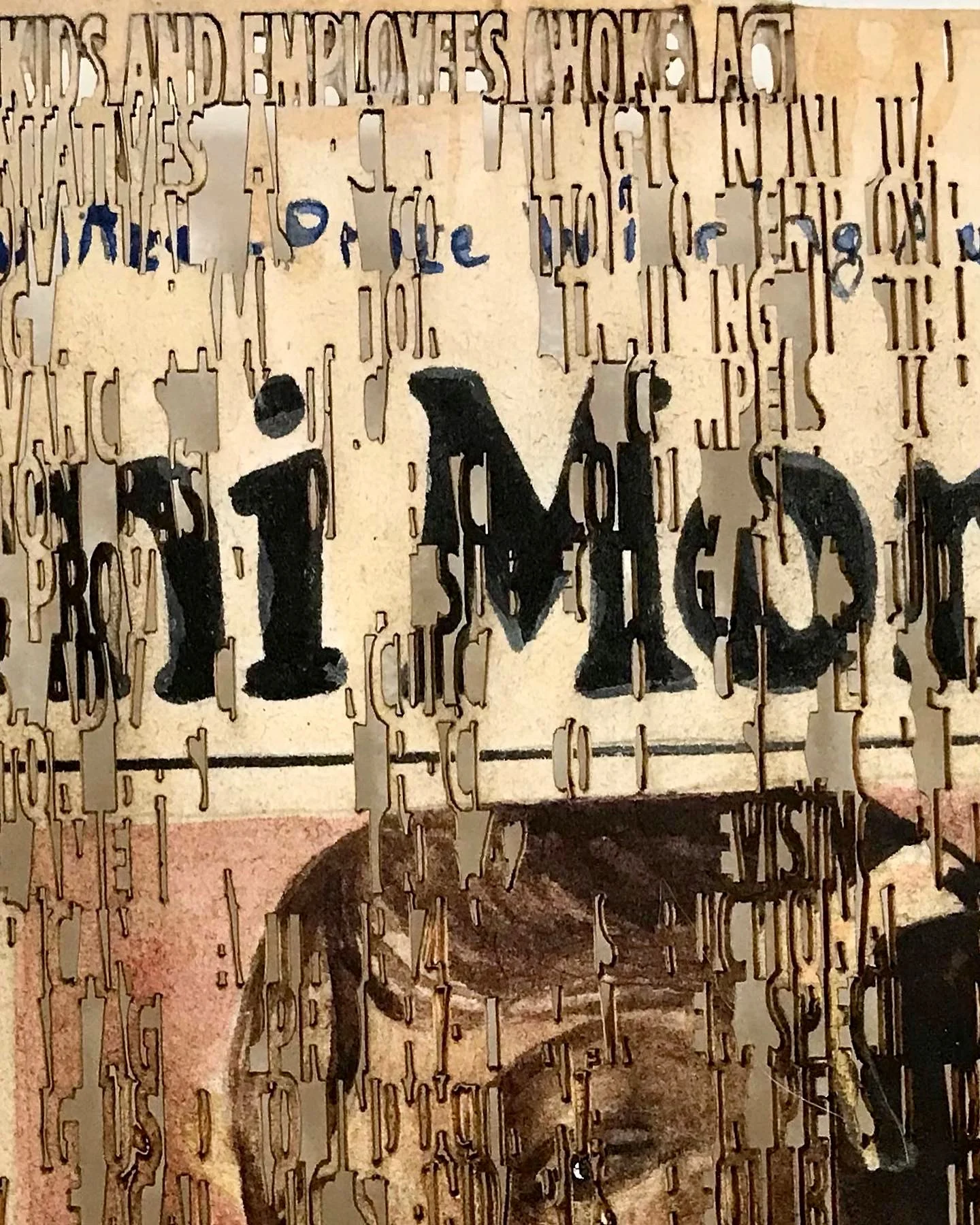   Stop W.O.K.E. Act - The Bluest Eye Book Ban,  ( close up), laser cut ink painting on paper, 9 x 6 inches, 12 x 9 inches framed ©2022 