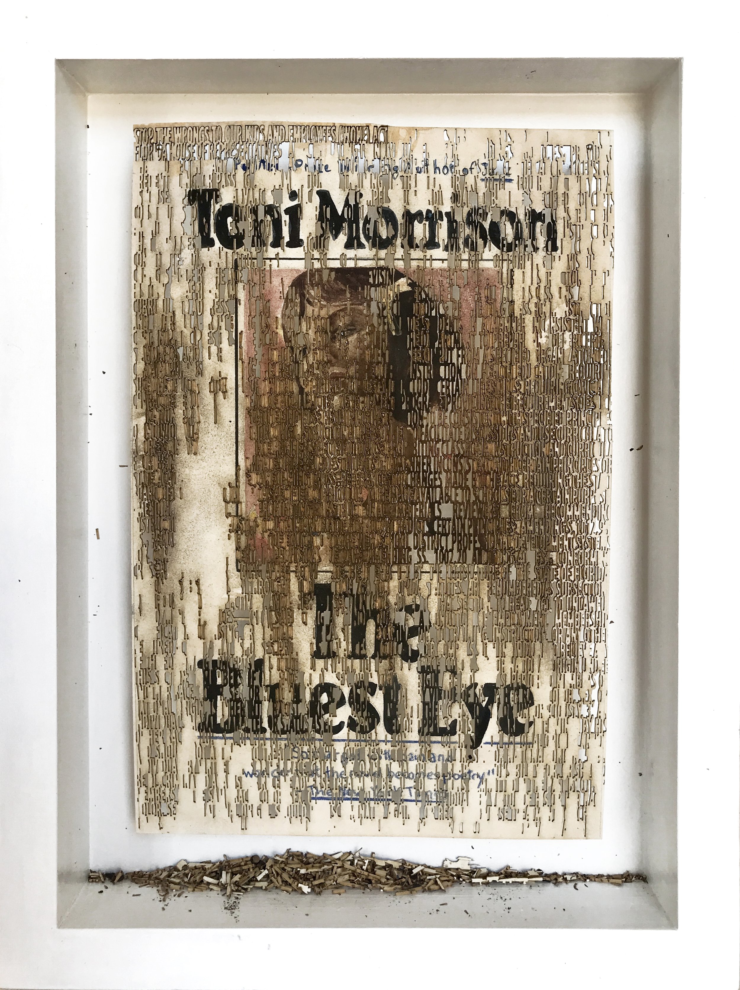   Stop W.O.K.E. Act - The Bluest Eye Book Ban,  laser cut ink painting on paper, 9 x 6 inches, 12 x 9 inches framed ©2022 