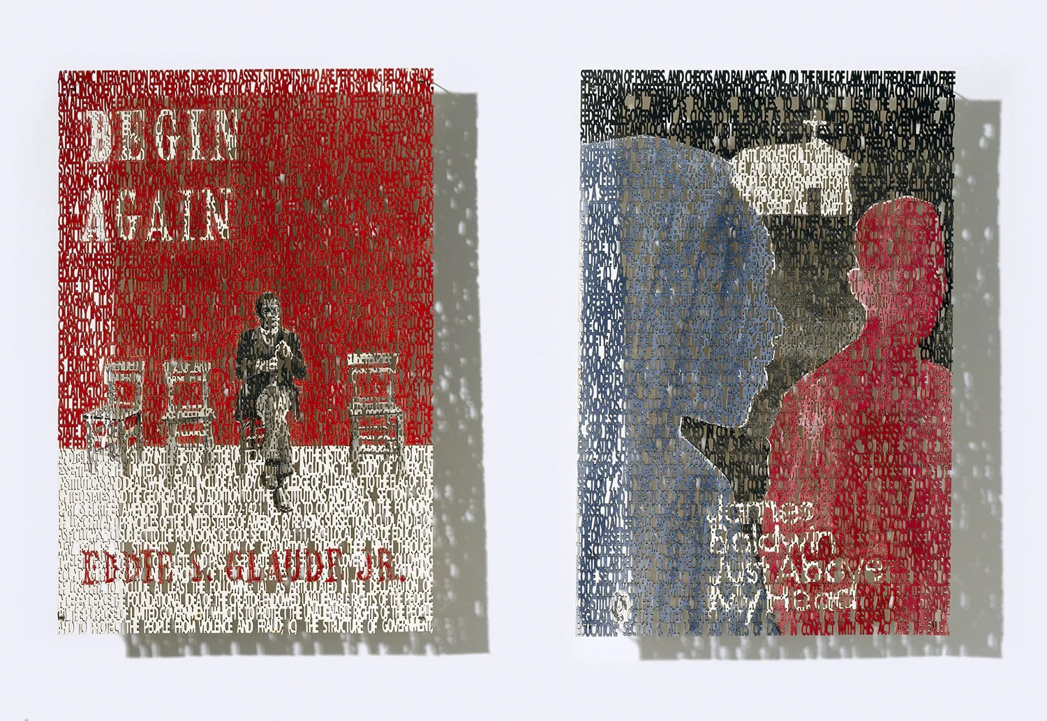  Georgia HB 888,   close up ,  laser cut ink painting on paper, 9 x 6 inches each, 26x 40 inches framed ©2022 