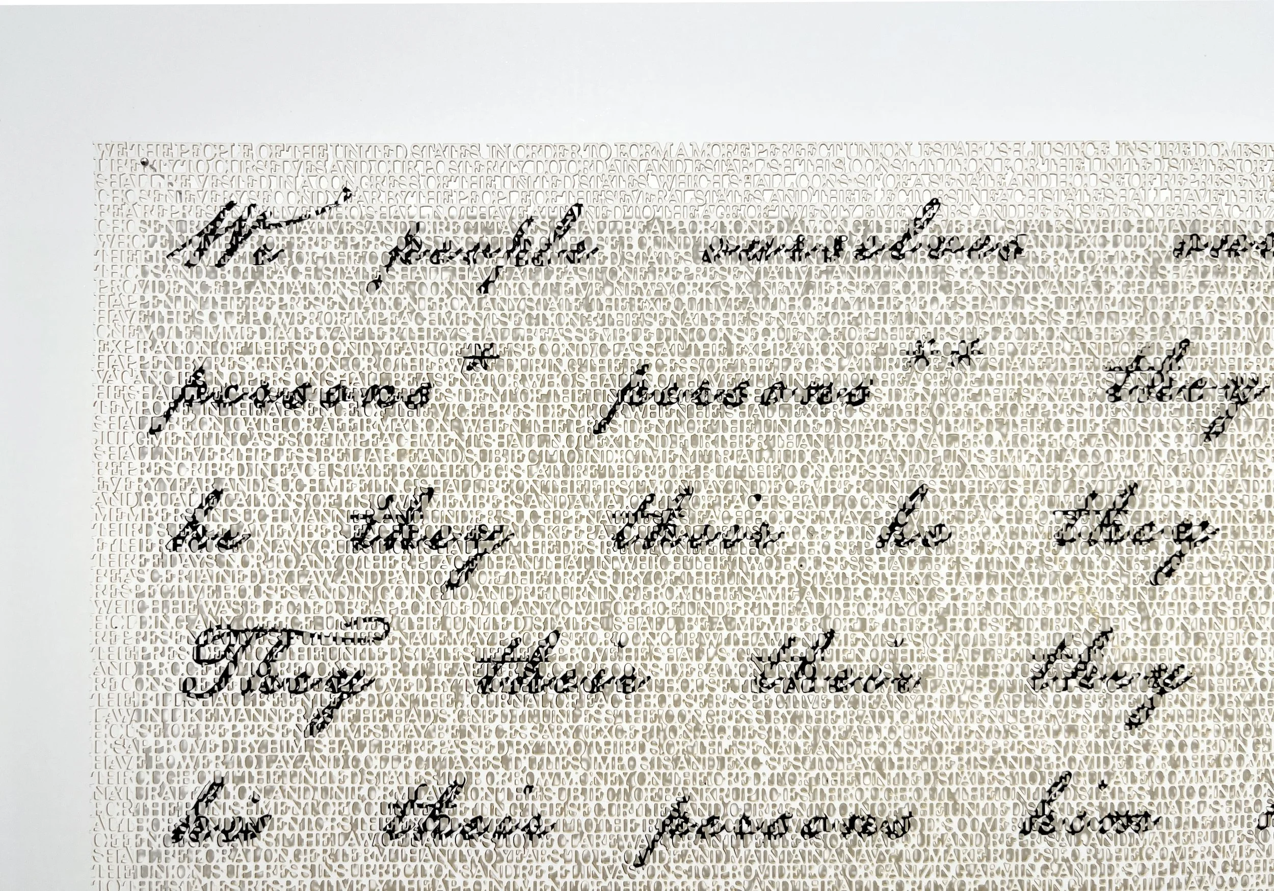 Constitution_Pronouns_3.jpg