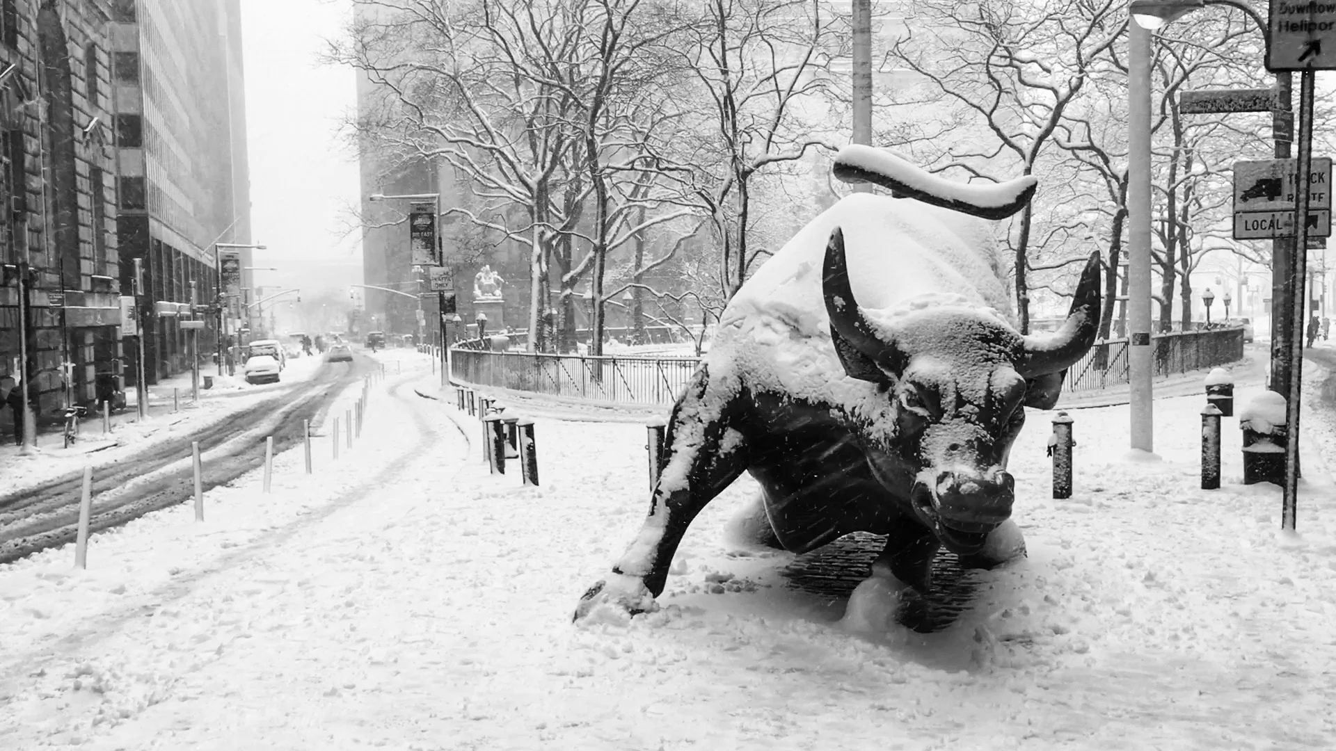 Bull on Bowling Green. Photo by Alberto Zamora. 